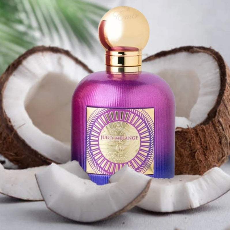 Paris Corner Juicy Melange Emir EDP 100 ML Unisex